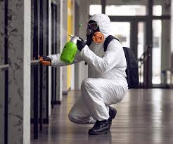 Best Asbestos and Lead Testing During Mold Inspection  in Sibley, IA